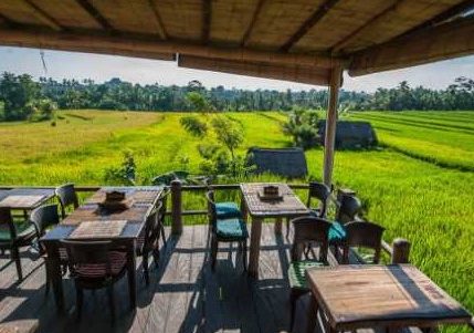 kedai makan depan sawah 1 kedai makan depan sawah